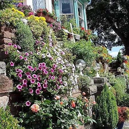 Swiss Court Bed and Breakfast 4*